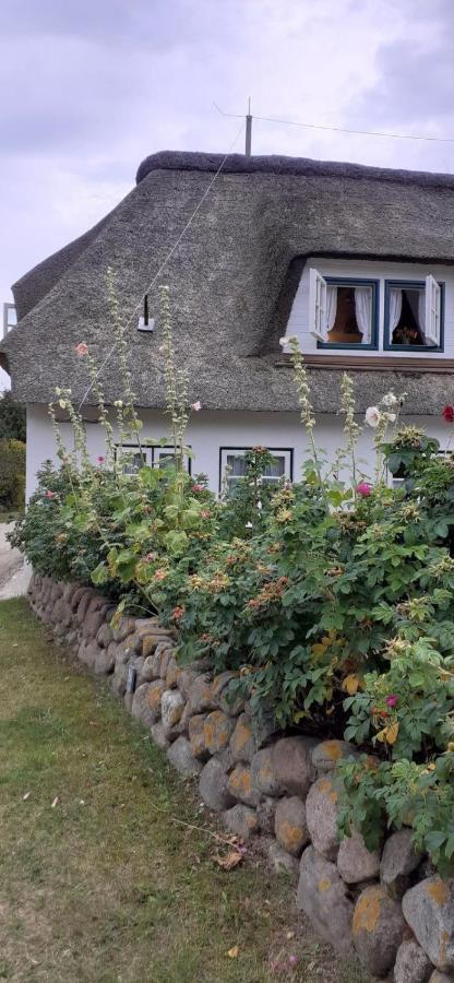 Seepferdchen Nebel Exterior photo
